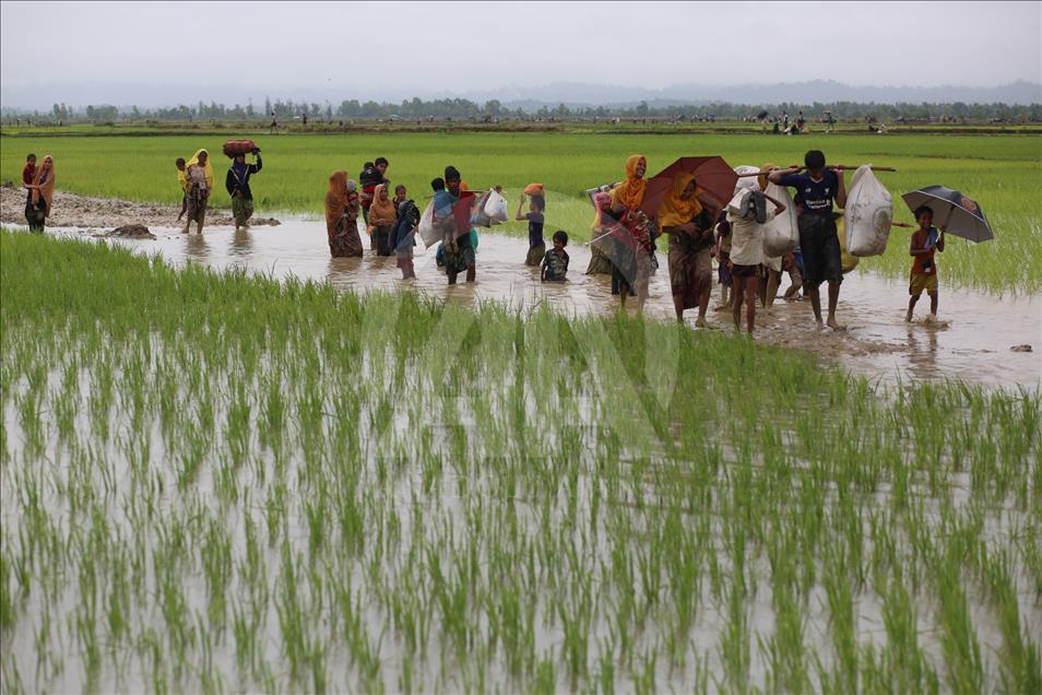 Bangladeş'e Kaçan Arakanlı Müslümanlar 19