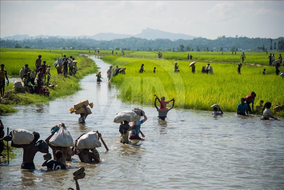 Arakanlı Müslümanların Bangladeş'e Geçişleri Devam Ediyor 16