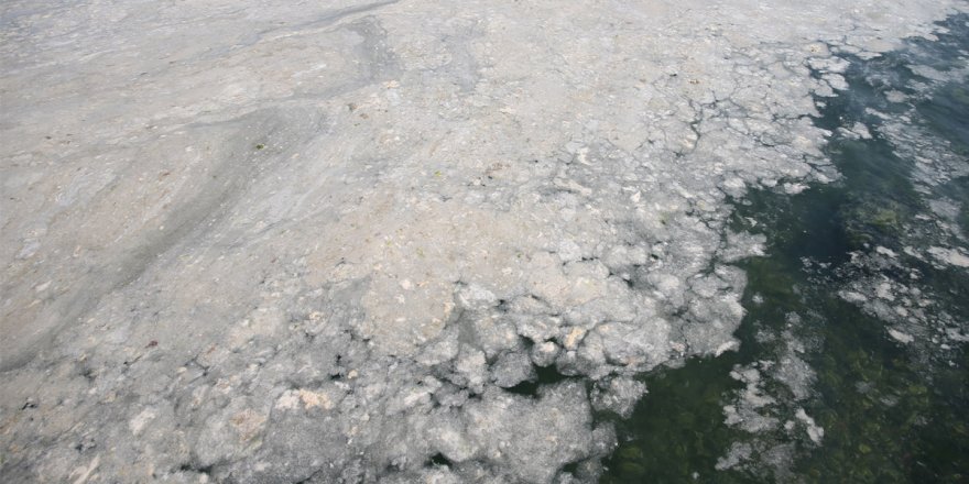 Balıkesir'de bir sanayi tesisinin faaliyetleri durduruldu