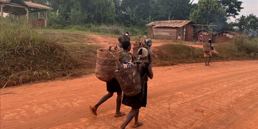 Kamerun'da Afrika'nın en eski yerlileri Pigmeler kimliksiz yaşamaya mahkum ediliyor