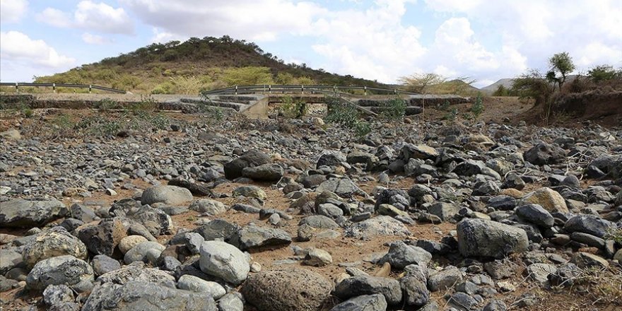 Kenya'da kuraklık yüzlerce yaban hayvanının telef olmasına yol açtı