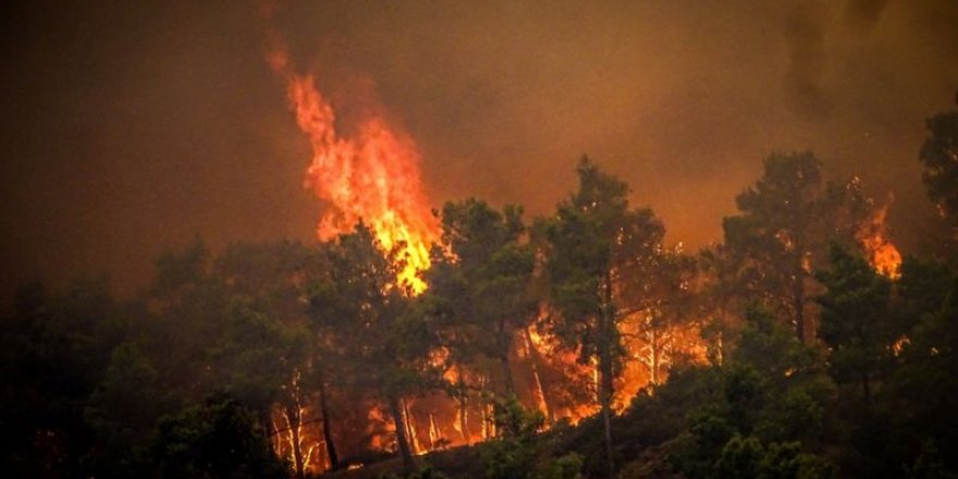 Orman yangınının sürdüğü Rodos'ta binlerce kişi tahliye edildi