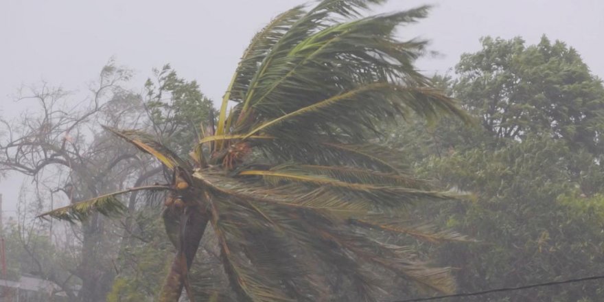 Dünya Meteoroloji Örgütü: Aşırı iklim olayları artıyor