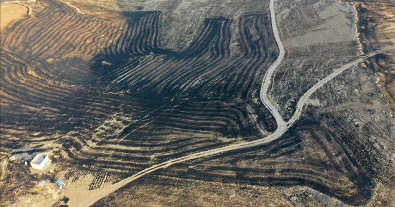 Diyarbakır ve Mardin yangınında 5 kişi hayatını kaybetti