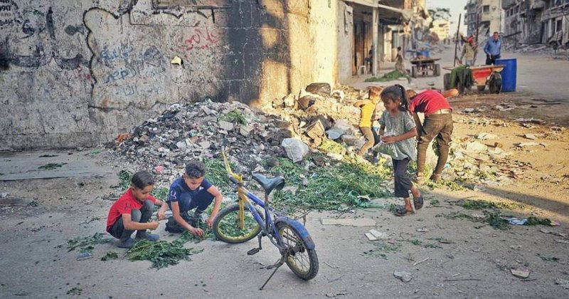 Gazze'de açlık sebebiyle çocuklar ağaç yaprağı topluyor