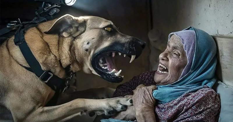 İsrail'in asker köpeği tarafından saldırıya uğrayan Gazzeli kadın: Ölümü gördüm