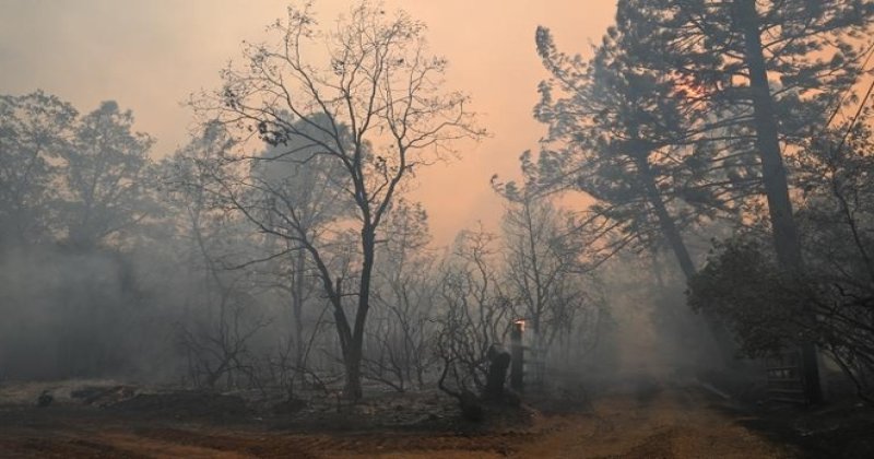 ABD'de 94 farklı bölgede yangın alarmı