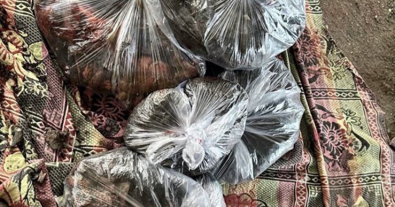 Gazze'deki okul saldırısında ceset parçaları plastik poşetlerle toplandı