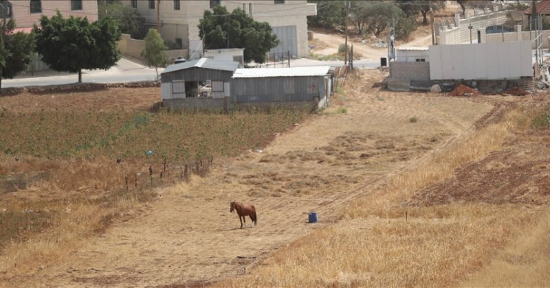 İşgal rejimi Batı Şeria'da Filistinlilere ait yüzlerce dönümlük araziye el koydu