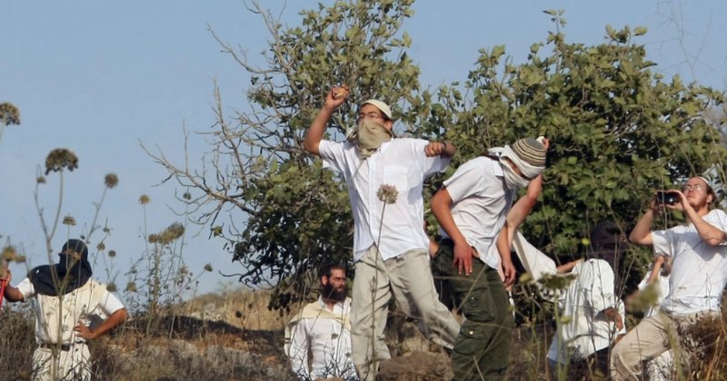 Gaspçı siyonistler, Batı Şeria'da çiftçileri hedef alıyor