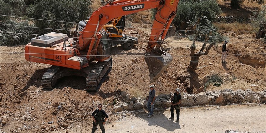 İşgalci İsrail askerleri, işgal altındaki Batı Şeria'da çok sayıda zeytin ağacını söktü