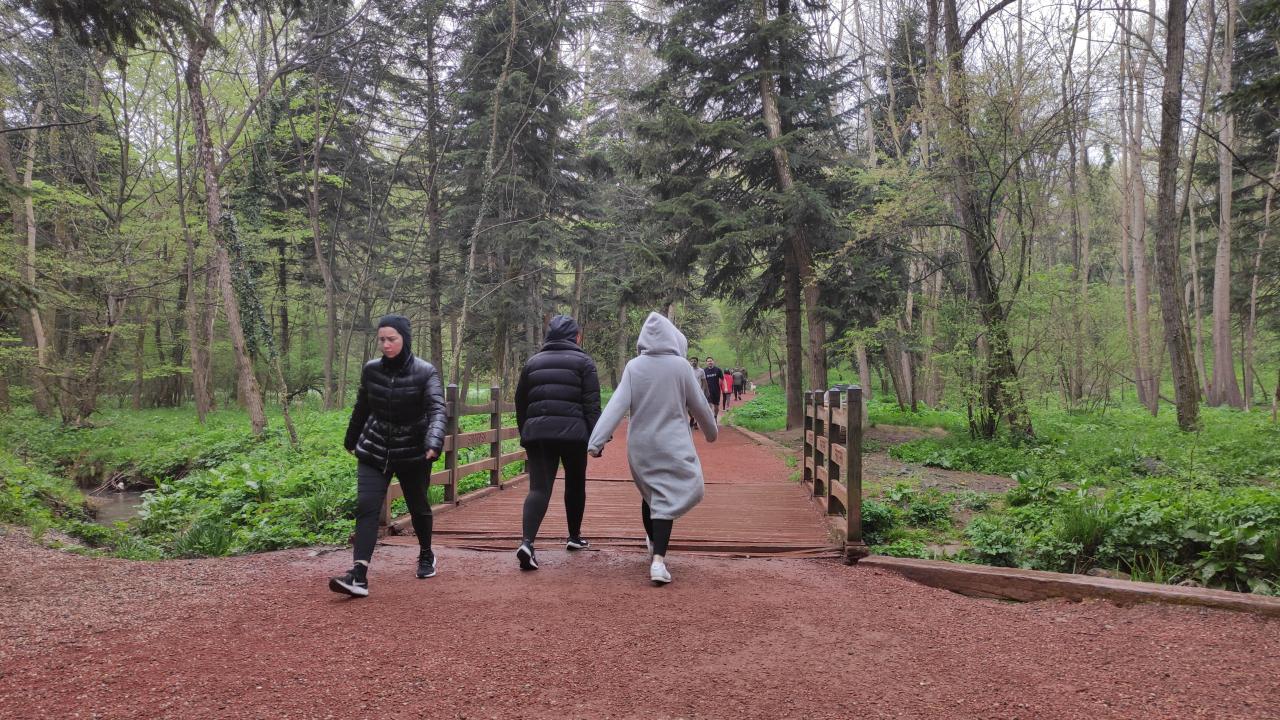 Tarım ve Orman Bakanlığı'ndan "Belgrad Ormanı" açıklaması