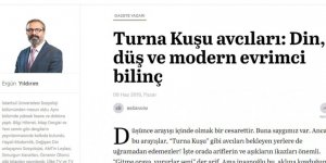 Din, Düş ve Modern Evrimci Bilinç