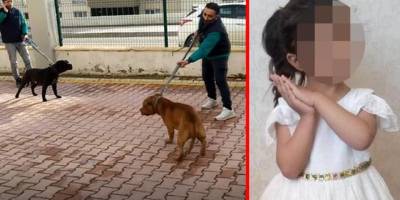 Küçük Asiye'ye saldıran köpekler iddianamede "silah" sayıldı