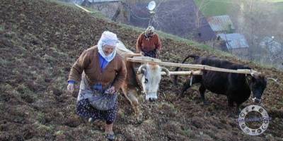 Rızık, kader ve tevekkül ilişkisi