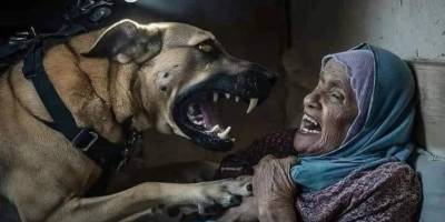 Siyonistler uyuyan yaşlı kadına köpekle saldırdı