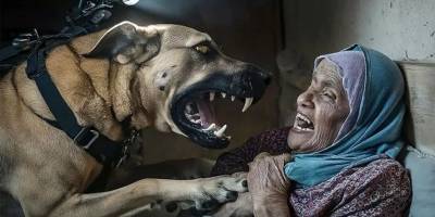 İsrail'in asker köpeği tarafından saldırıya uğrayan Gazzeli kadın: Ölümü gördüm