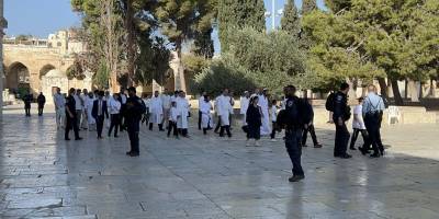 Siyonist sömürgeciler Kudüs'teki Aksa Camii'ne girdi