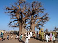 Güney Sudan'da Milyonlarca Kişi Açlıkla Karşı Karşıya